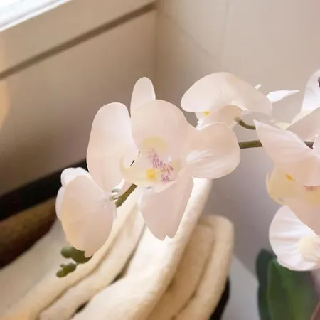 Daire Flat Pen 56 Roma