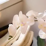 Apartment Flat Pen 56 Rom