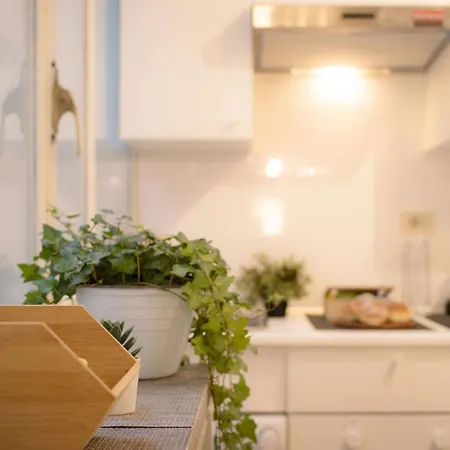 Flat Pen 56 روما